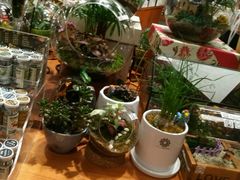-矢量咖啡(万象汇店)