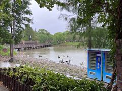 -上海野生动物园