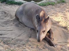 -西霞口神雕山野生动物世界