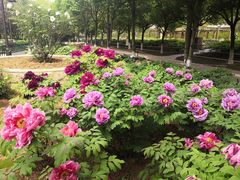 -幕燕滨江·长江观音景区