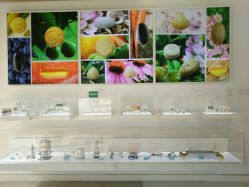 -安利上海体验馆