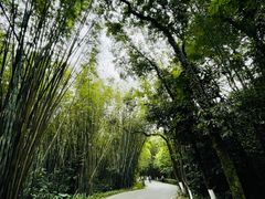 -广州市白云山风景名胜区