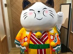 -屋虎猫馆(宝安大仟里店)