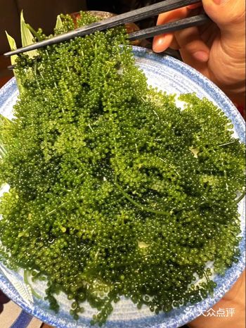 谁吃过这几种？是什么名字?