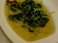 -金彤川菜(西稍门店)