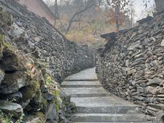 -南窖乡水峪村山情农家