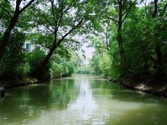 -西溪国家湿地公园