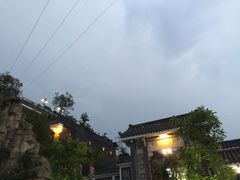 -老幺泉水鸡