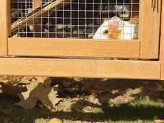 -HERRE·FARM 赫尔露营农场·团建聚会包场