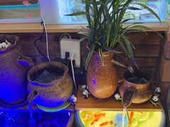 -老姐石板烧烤+铜炭火锅(总店)