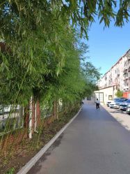 -爱儿美儿童摄影(五路居花园别墅店)