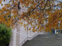 -山东农业大学(岱宗校区)