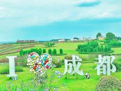 -空港花田景区