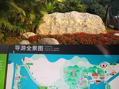 -顺峰山公园