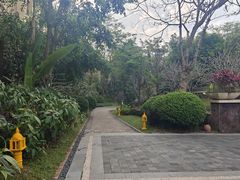 -西双版纳融创皇冠假日度假酒店