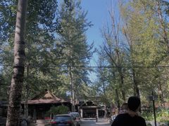 -尚庄度假村·庭台树下·户外烧烤·团建CS·轰趴营地(上庄水库店)