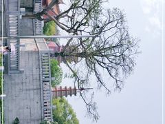 -梵天禅寺
