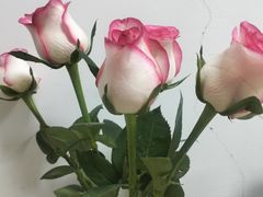 -知楚•精致湖北菜(武商MALL店)