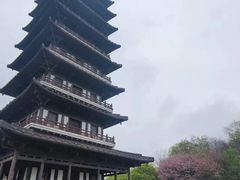 -宜兴龙背山森林公园