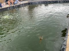 -DGE季风钓虾营地·团建·聚会