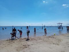 -碧海金沙