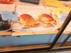 -昆山城市生态森林公园