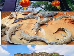 门面-海南热带野生动植物园