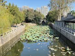 -水绘园