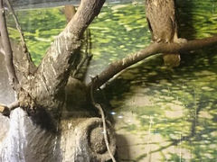 android_upload_pic-上海大自然野生昆虫馆