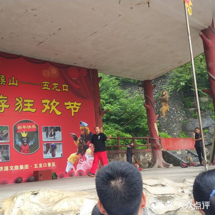 五龙口的猴子太可爱了