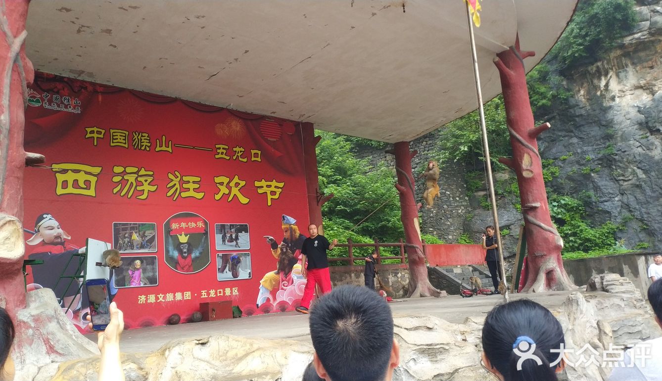 五龙口的猴子太可爱了
