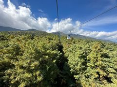 -苍山感通索道