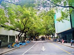 -南宋御街