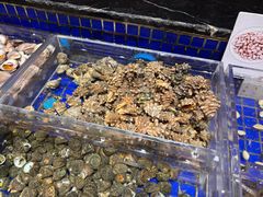 -高佳庄·舟山海鲜(海景旗舰店)