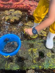 -钓虾工场·钓虾·赶海(回龙观店)