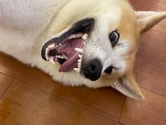 -健身专家Wellness Experts