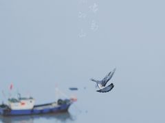 -大京沙滩