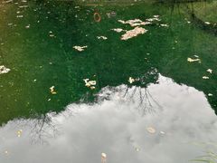 -白云源风景区