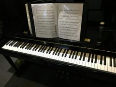 -Melody Mentor音乐私教馆(朝外·悠唐店)