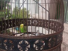 -老味道民宿(栈桥店)