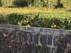 -和顺古镇