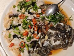 鲜花椒蒸龙趸鱼-任兴记(定西路店)