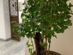 -绿色菜园·农家土菜(贤山店)