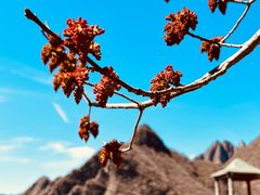 -十渡东湖港风景区