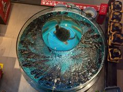 -魏铭鱼头捞饭(晋阳路店)