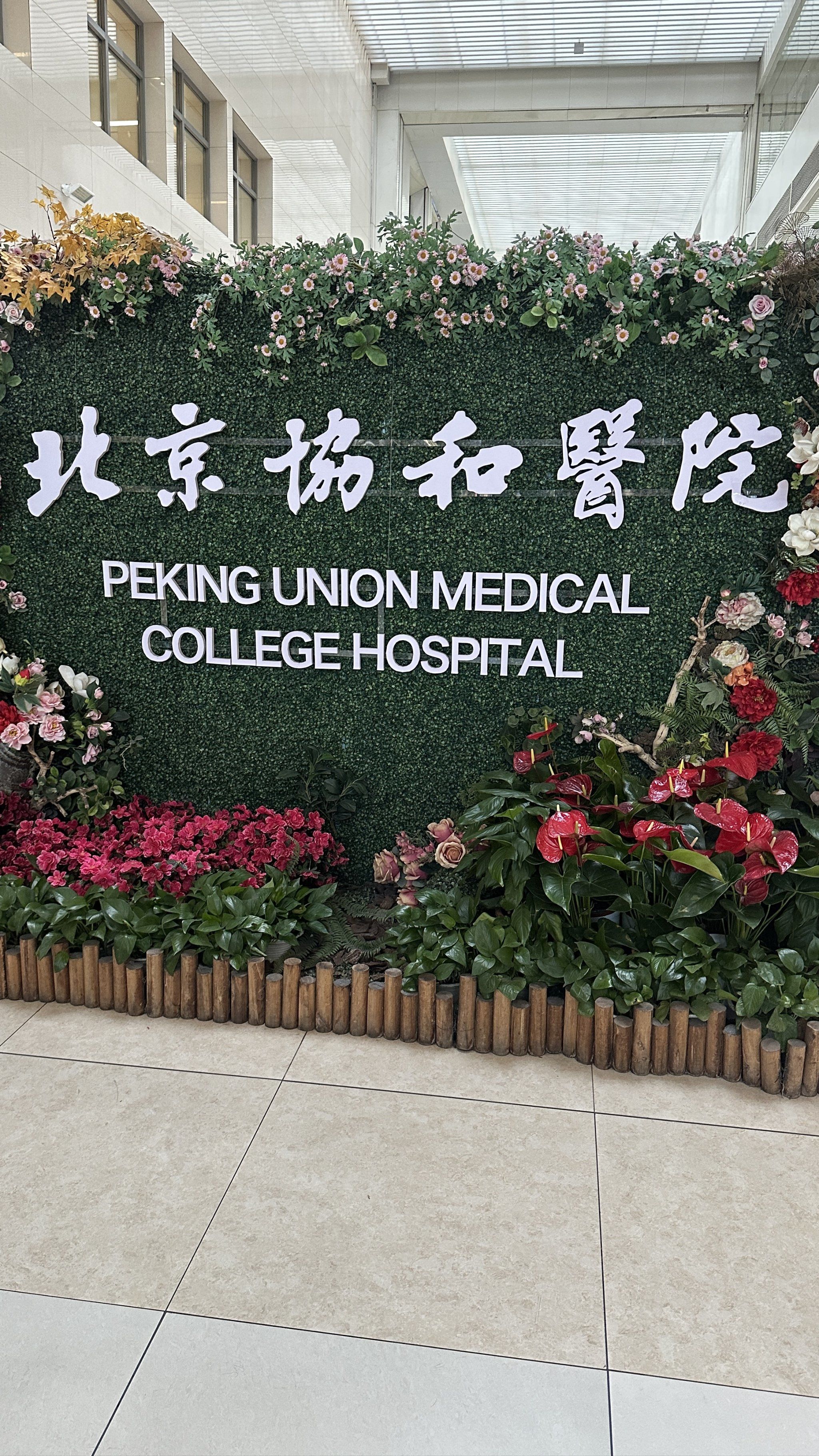 关于北京协和医院、协助就诊，就诊引导找跑腿挂号预约检查住院，让您省心安心的信息