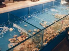 -火舞泰·泰式海鲜火锅餐厅(世纪城店)