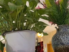 -江城小馆陕南妈妈菜·全球旅行餐厅(钟楼店)