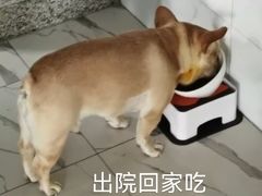 -谐和贝康宠物医院24小时·宠保定点(急重症转诊中心)