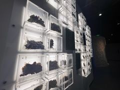 -广东中医药博物馆